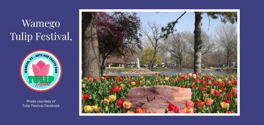 A vibrant display of tulips in a park setting, with trees and a pond in the background, promoting the Wamego Tulip Festival.