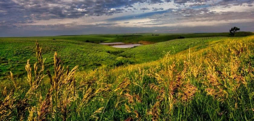 Golden prairie grass across the Kansas Flint Hills, with rolling green hills, a small pond, and dramatic clouds.