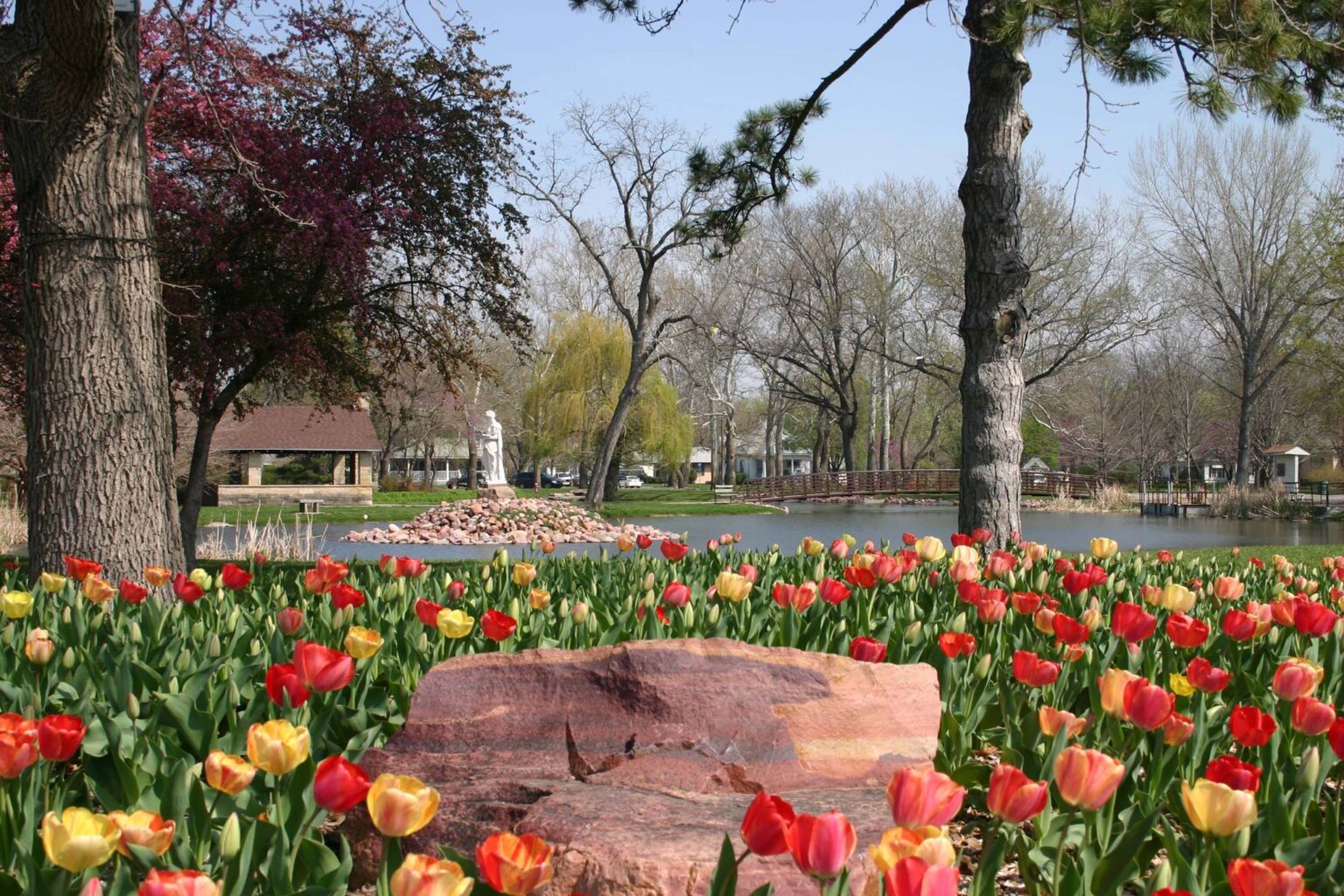 Tulip KS-800325 Aiguilles à Tricoter Beige 80 Cm X 3,25 Mm