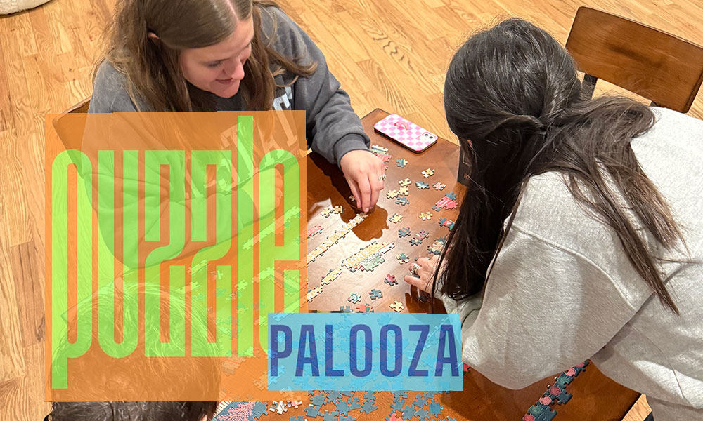 Puzzle Palooza